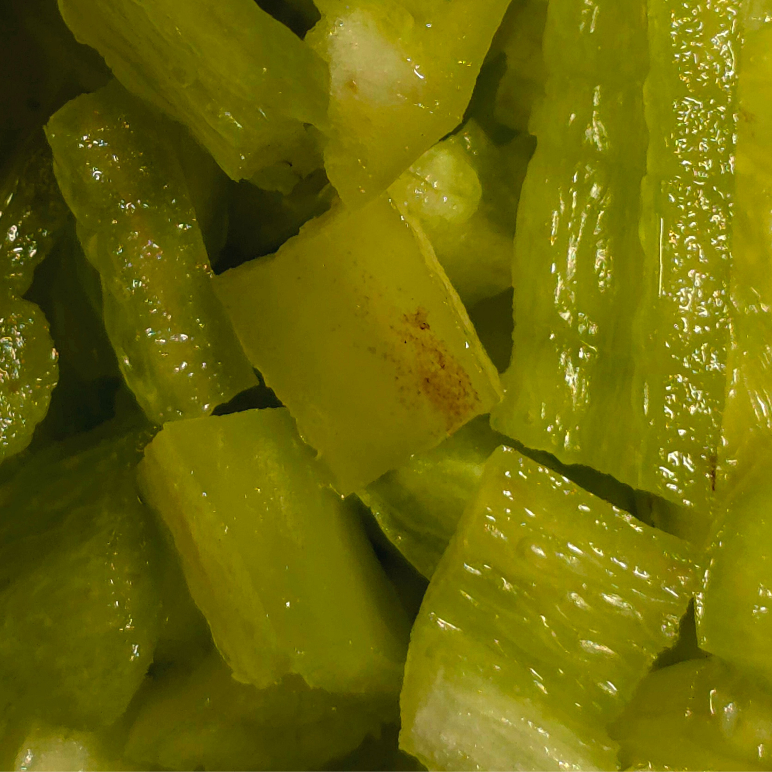 Capsicum