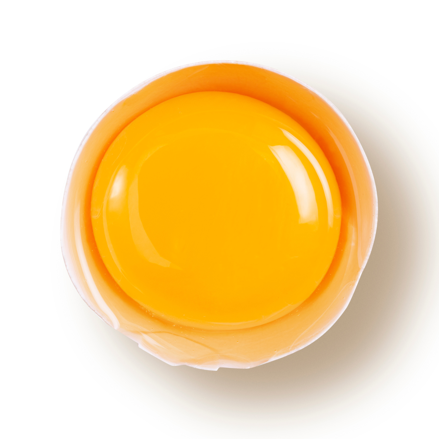 Egg