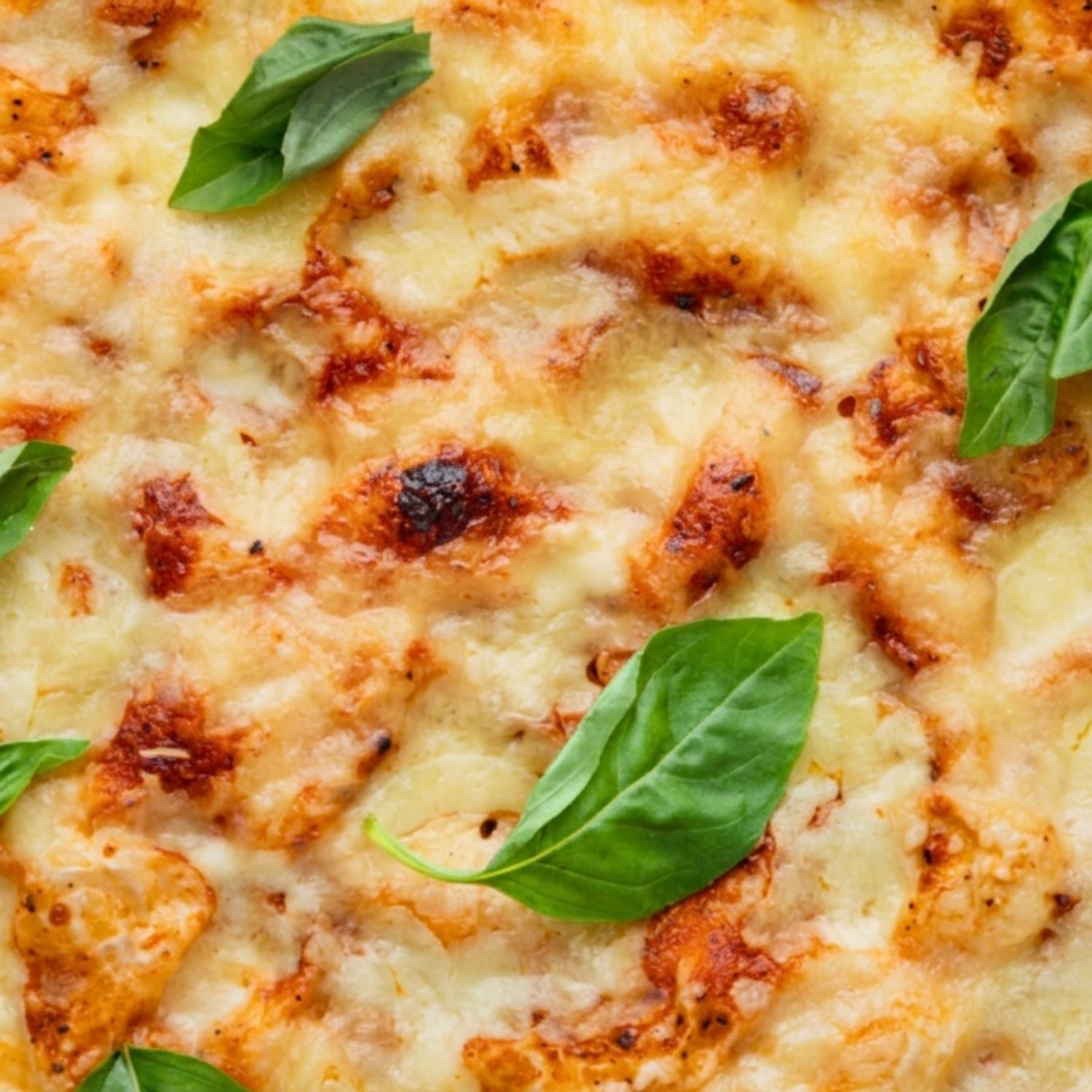 Margherita 🌿